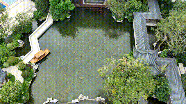 11.gif